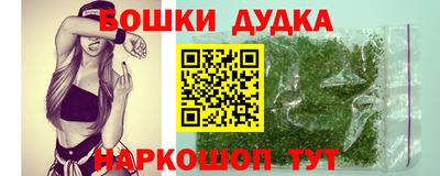 шишки Лесосибирск
