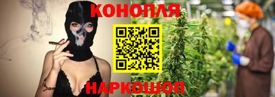 шишки Лесосибирск