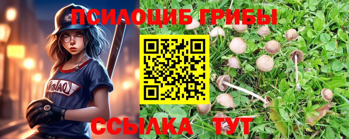 Псилоцибиновые грибы мухоморы  Вход с VPN  где найти наркотики  Новороссийск 